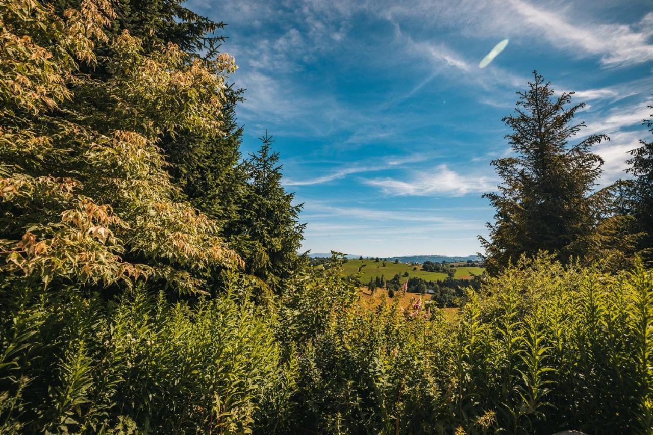 Willa Szarotka Gliczarów Buitenkant foto